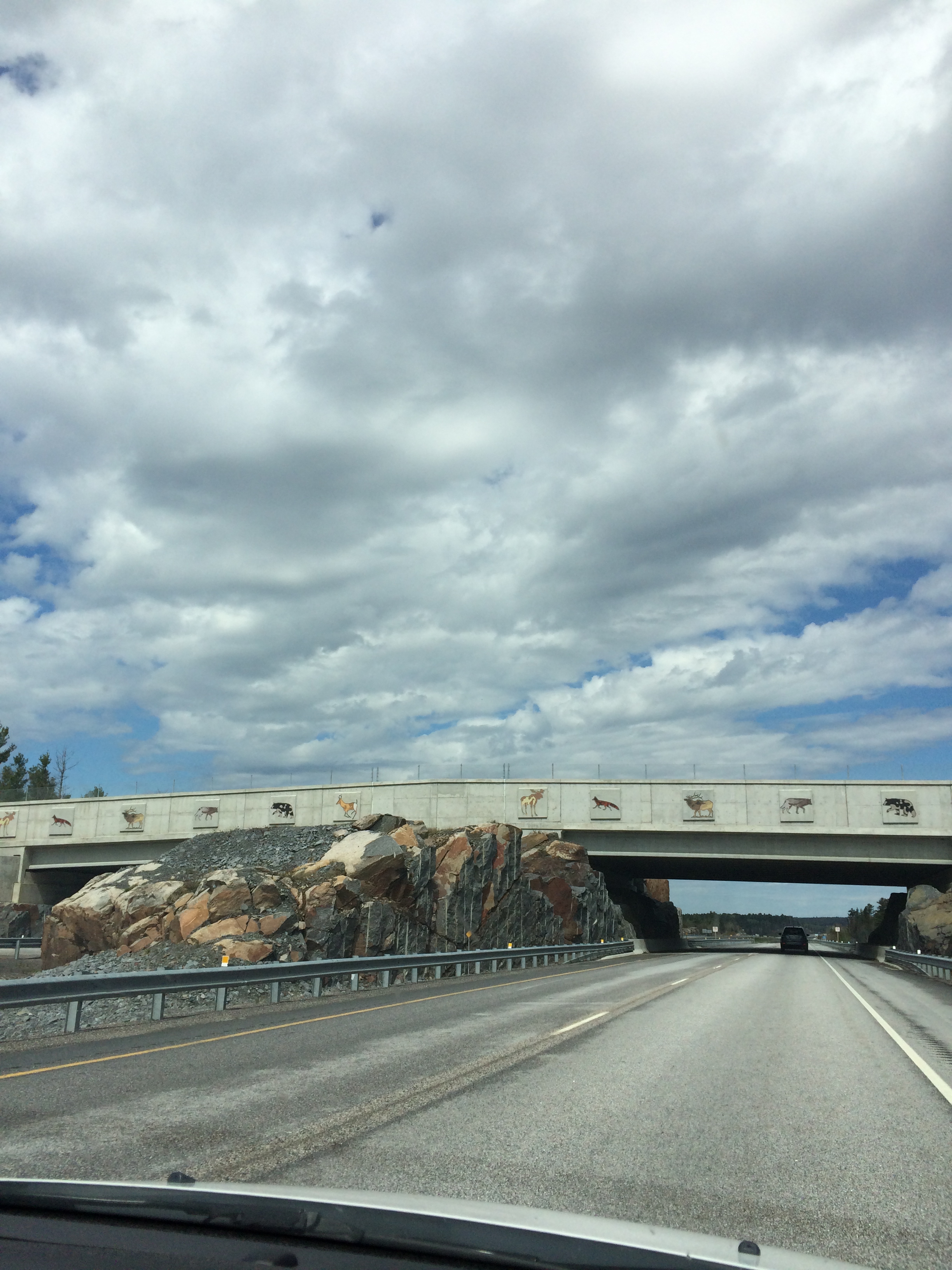 Animal Crossing Bridge in Northern Ontario